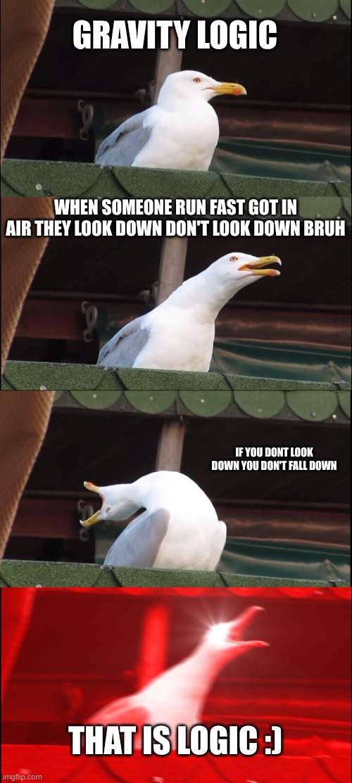 we need proof why do they always look down | GRAVITY LOGIC; WHEN SOMEONE RUN FAST GOT IN AIR THEY LOOK DOWN DON'T LOOK DOWN BRUH; IF YOU DONT LOOK DOWN YOU DON'T FALL DOWN; THAT IS LOGIC :) | image tagged in memes,inhaling seagull | made w/ Imgflip meme maker