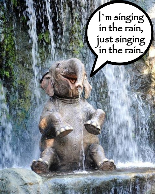 Jumbo Shower`s | I`m singing
in the rain,
just singing
in the rain. | image tagged in elephant in the room | made w/ Imgflip meme maker