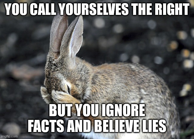Bunny Hides | YOU CALL YOURSELVES THE RIGHT BUT YOU IGNORE FACTS AND BELIEVE LIES | image tagged in bunny hides | made w/ Imgflip meme maker
