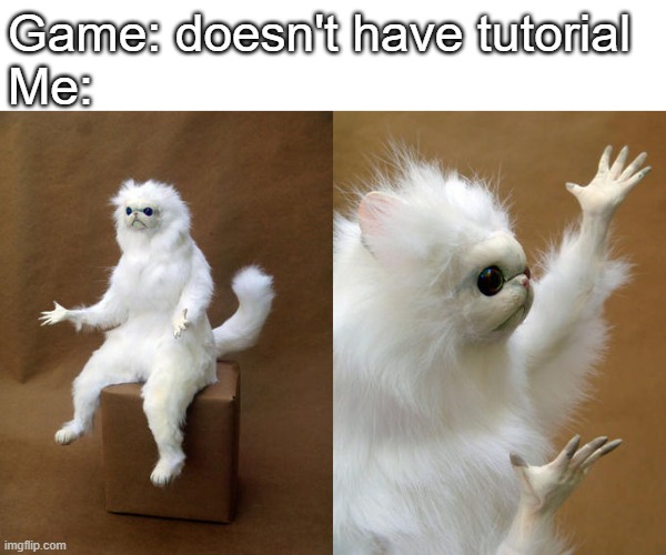I hate games with no tutorial | Game: doesn't have tutorial
Me: | image tagged in memes,persian cat room guardian | made w/ Imgflip meme maker