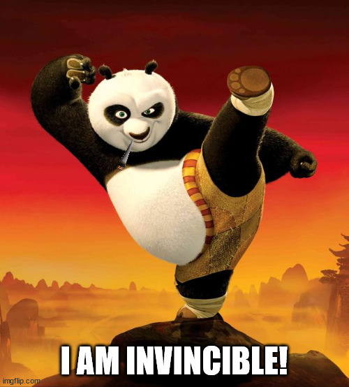 kung fu panda | I AM INVINCIBLE! | image tagged in kung fu panda | made w/ Imgflip meme maker