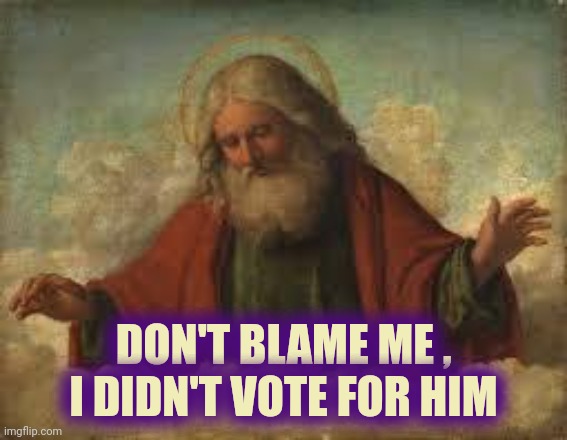 god | DON'T BLAME ME ,
I DIDN'T VOTE FOR HIM | image tagged in god | made w/ Imgflip meme maker