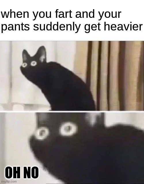 that's not good | when you fart and your pants suddenly get heavier; OH NO | image tagged in oh no black cat | made w/ Imgflip meme maker
