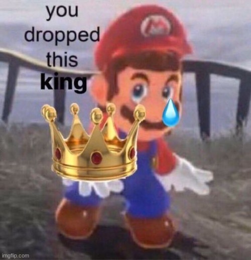 Mario you dropped this king | image tagged in mario you dropped this king | made w/ Imgflip meme maker