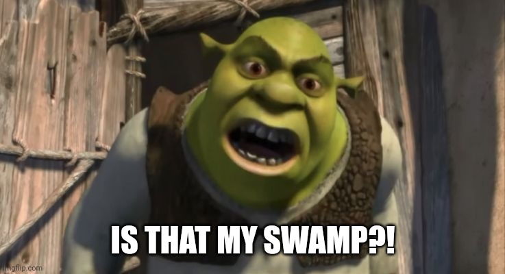 Shrek What are you doing in my swamp? | IS THAT MY SWAMP?! | image tagged in shrek what are you doing in my swamp | made w/ Imgflip meme maker