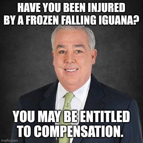 Morgan and Morgan Iguana | HAVE YOU BEEN INJURED BY A FROZEN FALLING IGUANA? YOU MAY BE ENTITLED TO COMPENSATION. | image tagged in florida,iguana | made w/ Imgflip meme maker