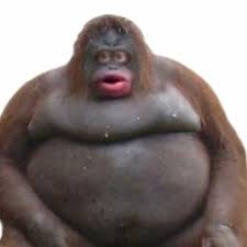 monke Blank Meme Template