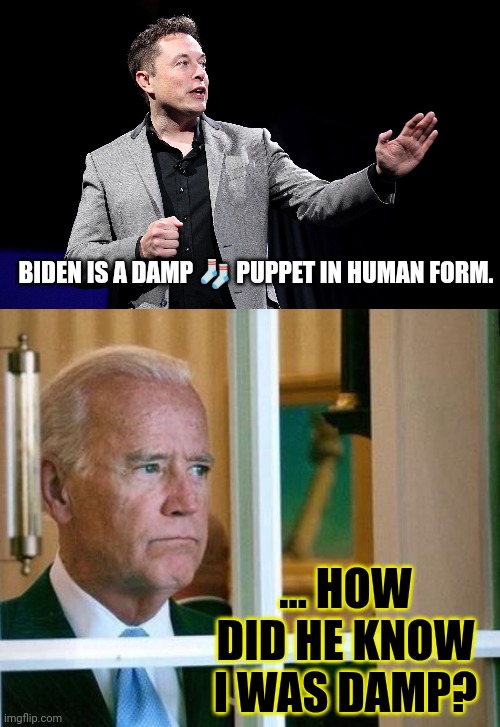 depends | BIDEN IS A DAMP 🧦 PUPPET IN HUMAN FORM. ... HOW DID HE KNOW I WAS DAMP? | image tagged in elon musk presentation,sad joe biden | made w/ Imgflip meme maker