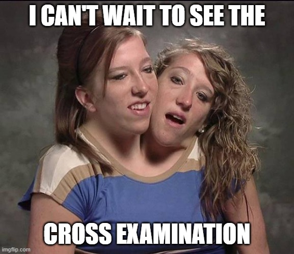 Conjoined twins | I CAN'T WAIT TO SEE THE CROSS EXAMINATION | image tagged in conjoined twins | made w/ Imgflip meme maker