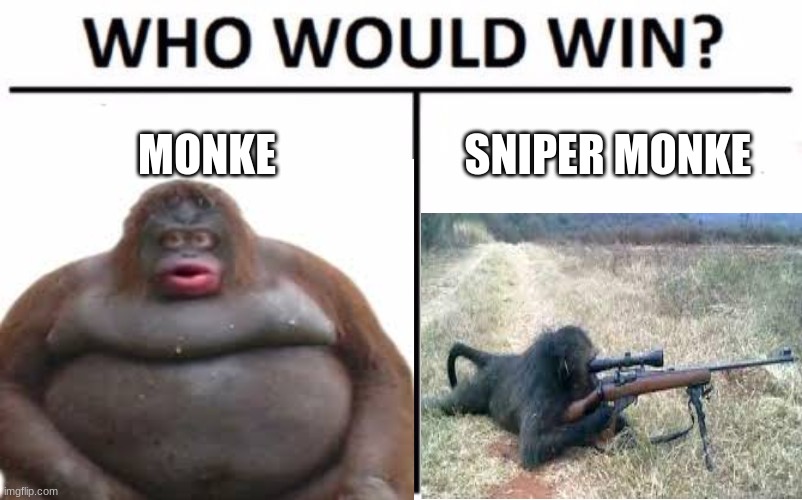 monke VS sniper monke | MONKE; SNIPER MONKE | image tagged in monkey | made w/ Imgflip meme maker