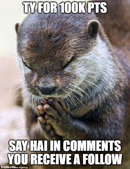 TY for 100k :3 | TY FOR 100K PTS; SAY HAI IN COMMENTS YOU RECEIVE A FOLLOW | image tagged in thank you lord otter,memes,msmg | made w/ Imgflip meme maker