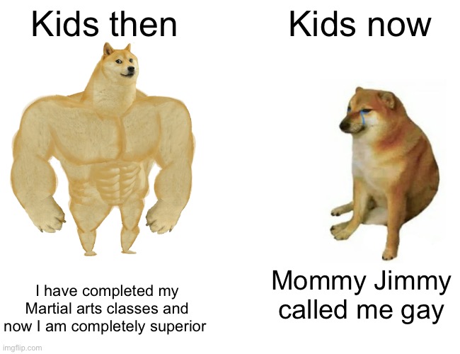 Who's side are you on? | Kids then; Kids now; I have completed my Martial arts classes and now I am completely superior; Mommy Jimmy called me gay | image tagged in memes,buff doge vs cheems | made w/ Imgflip meme maker