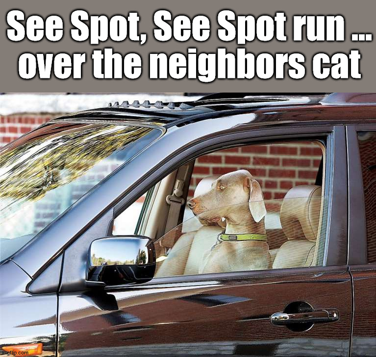 See Spot, See Spot run ...
over the neighbors cat | image tagged in dogs | made w/ Imgflip meme maker