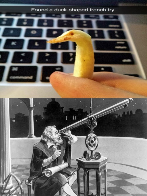 A duck-shaped french fry | image tagged in what a discovery,duck,french fries,ducks,memes,meme | made w/ Imgflip meme maker