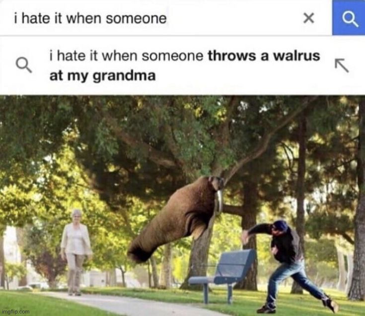 *throws walrus at your grandma* | image tagged in memes,funny,i hate it when | made w/ Imgflip meme maker