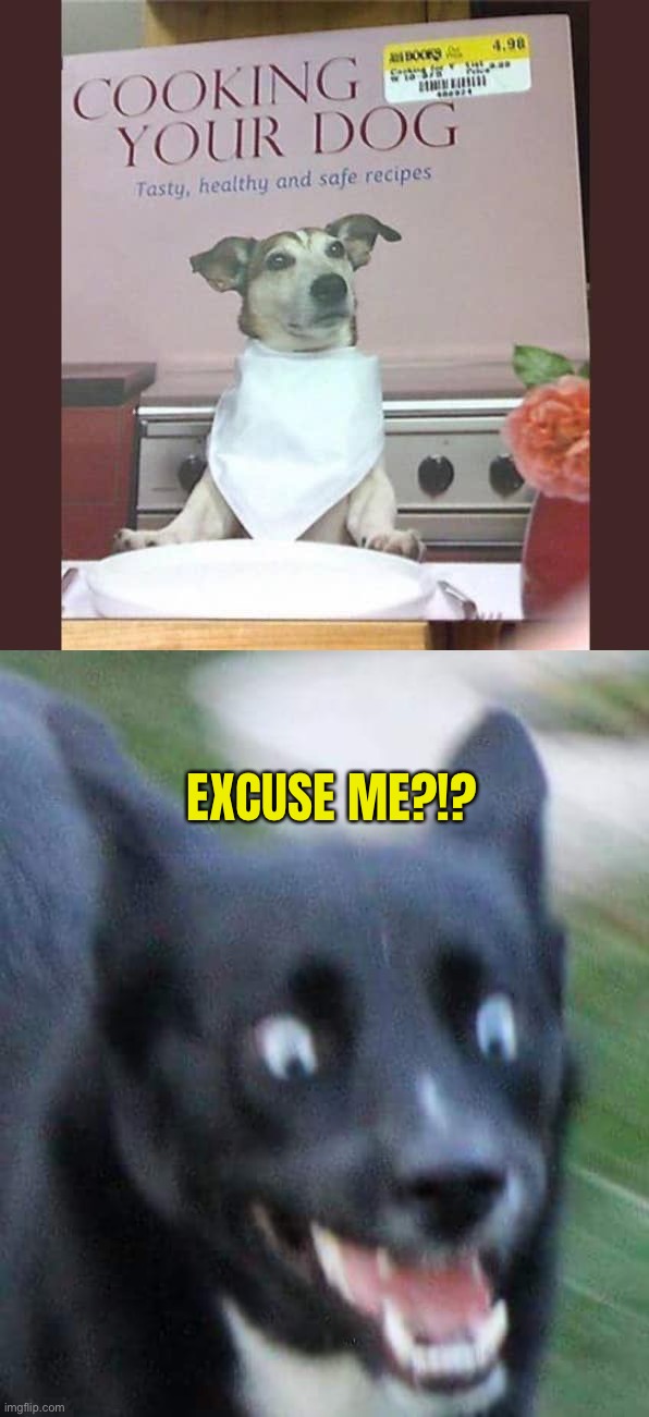 Scary! | EXCUSE ME?!? | image tagged in scared doggo,memes,funny,you had one job | made w/ Imgflip meme maker