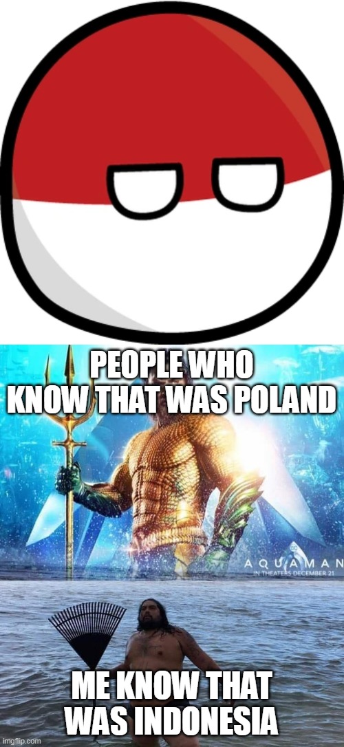 I am so dumb | PEOPLE WHO KNOW THAT WAS POLAND; ME KNOW THAT WAS INDONESIA | image tagged in polandball,me vs reality - aquaman | made w/ Imgflip meme maker