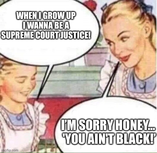 When I grow up I wanna be a Supreme Court justice!… | WHEN I GROW UP I WANNA BE A SUPREME COURT JUSTICE! I’M SORRY HONEY…  'YOU AIN'T BLACK!’ | image tagged in mom daughter,biden,race,black,political memes,white girls | made w/ Imgflip meme maker