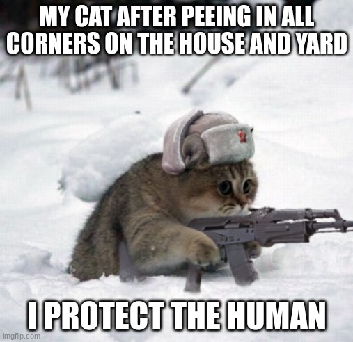 cat protecs human | MY CAT AFTER PEEING IN ALL CORNERS ON THE HOUSE AND YARD; I PROTECT THE HUMAN | image tagged in soviet kitty | made w/ Imgflip meme maker
