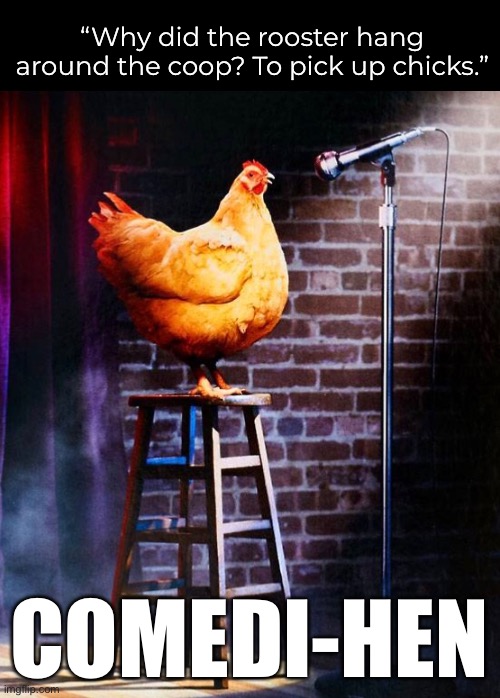 The audience ostrich-sized all the bad jokes. It was such a hoot! | “Why did the rooster hang around the coop? To pick up chicks.”; COMEDI-HEN | image tagged in funny memes,bad jokes,eyeroll | made w/ Imgflip meme maker