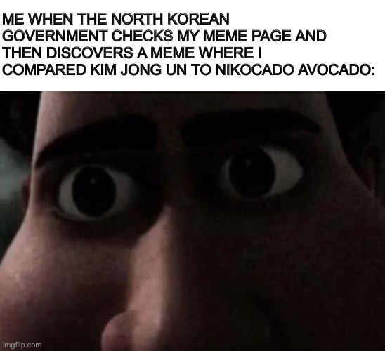 Titan stare | ME WHEN THE NORTH KOREAN GOVERNMENT CHECKS MY MEME PAGE AND THEN DISCOVERS A MEME WHERE I COMPARED KIM JONG UN TO NIKOCADO AVOCADO: | image tagged in titan stare,memes | made w/ Imgflip meme maker