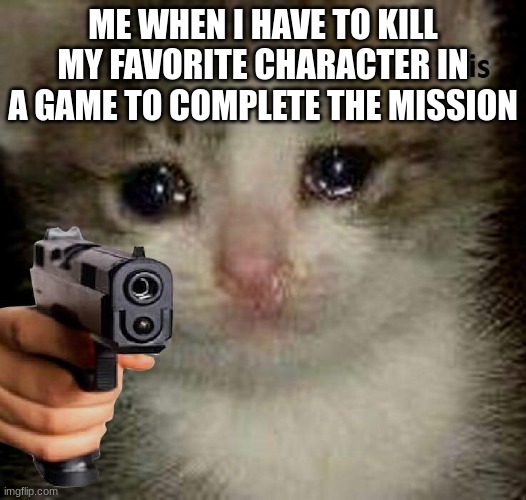 sorry harold | ME WHEN I HAVE TO KILL MY FAVORITE CHARACTER IN A GAME TO COMPLETE THE MISSION | image tagged in crying cat with gun | made w/ Imgflip meme maker