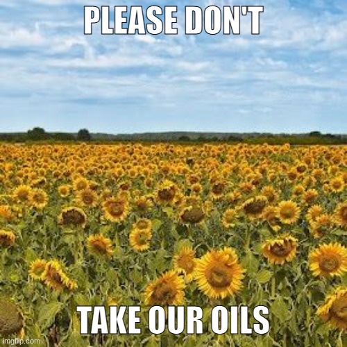 Oil | PLEASE DON'T TAKE OUR OILS | image tagged in machenbach sunflower fields | made w/ Imgflip meme maker