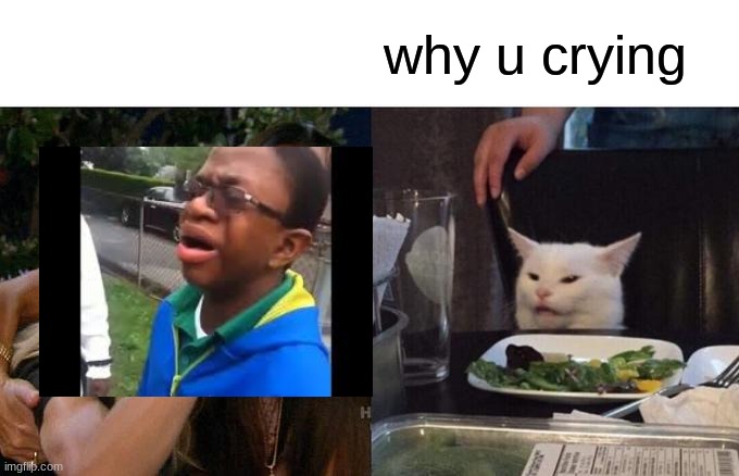 Woman Yelling At Cat Meme | why u crying | image tagged in memes,woman yelling at cat | made w/ Imgflip meme maker
