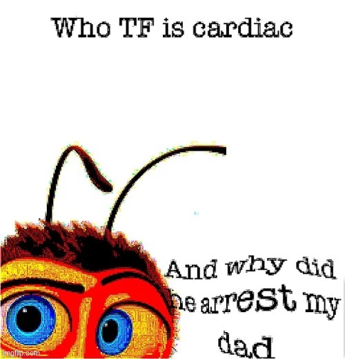 cardiac infarction | image tagged in heart | made w/ Imgflip meme maker