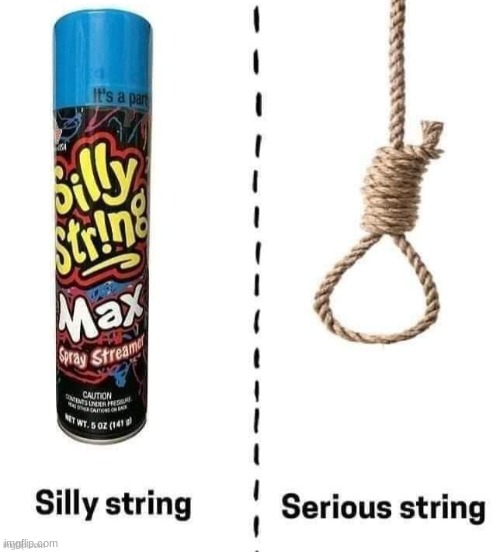 the string | image tagged in silly,that's just silly cat | made w/ Imgflip meme maker