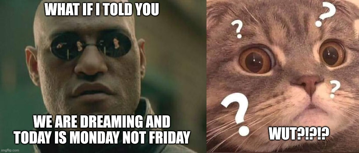 Freaky Friday | WHAT IF I TOLD YOU; WE ARE DREAMING AND TODAY IS MONDAY NOT FRIDAY; WUT?!?!? | image tagged in matrix morpheus,friday,confused,cat | made w/ Imgflip meme maker