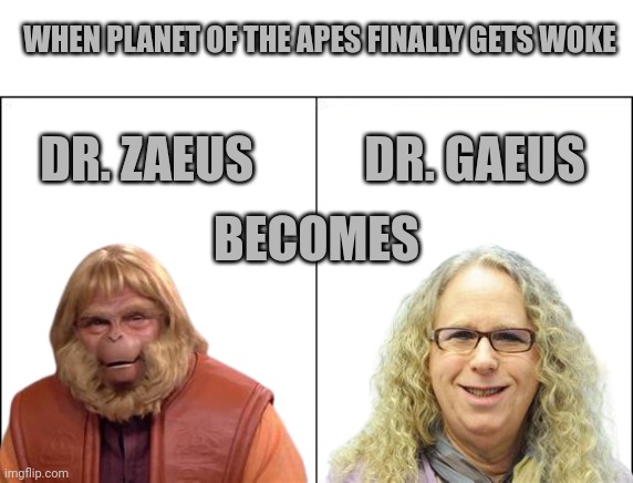 Wokeness is a disease | WHEN PLANET OF THE APES FINALLY GETS WOKE; DR. GAEUS; DR. ZAEUS; BECOMES | image tagged in side-by-side panels,dr zaeus,dr gaeus | made w/ Imgflip meme maker