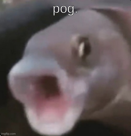 Poggers Fish | pog. | image tagged in poggers fish | made w/ Imgflip meme maker
