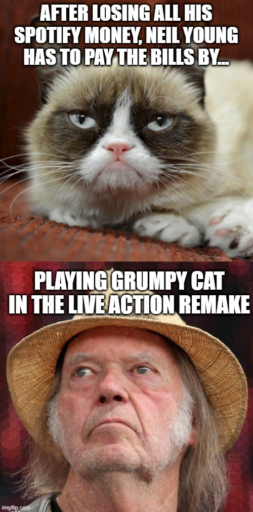 AFTER LOSING ALL HIS SPOTIFY MONEY, NEIL YOUNG HAS TO PAY THE BILLS BY... PLAYING GRUMPY CAT IN THE LIVE ACTION REMAKE | made w/ Imgflip meme maker