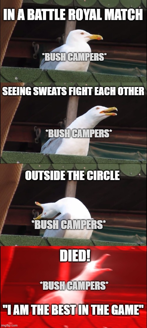 ONLY GAMERS WILL UNDERSTAND | IN A BATTLE ROYAL MATCH; *BUSH CAMPERS*; SEEING SWEATS FIGHT EACH OTHER; *BUSH CAMPERS*; OUTSIDE THE CIRCLE; DIED! *BUSH CAMPERS*; *BUSH CAMPERS*; "I AM THE BEST IN THE GAME" | image tagged in memes,inhaling seagull,very funny | made w/ Imgflip meme maker
