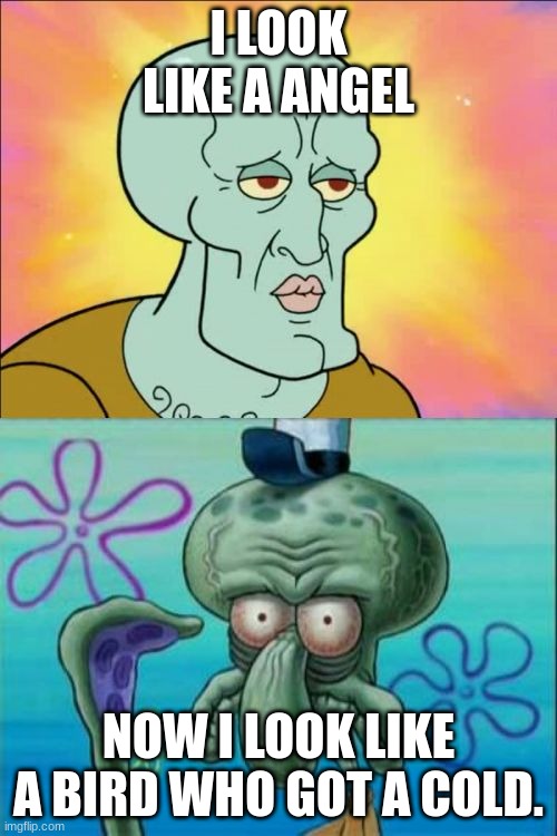 Squidward Meme | I LOOK LIKE A ANGEL; NOW I LOOK LIKE A BIRD WHO GOT A COLD. | image tagged in memes,squidward | made w/ Imgflip meme maker