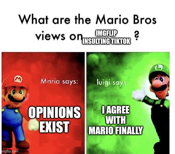 Mario Bros Views | IMGFLIP INSULTING TIKTOK; OPINIONS EXIST; I AGREE WITH MARIO FINALLY | image tagged in mario bros views | made w/ Imgflip meme maker