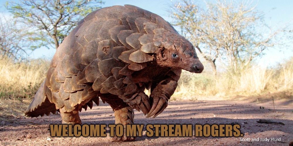 WELCOME TO MY STREAM ROGERS. | made w/ Imgflip meme maker