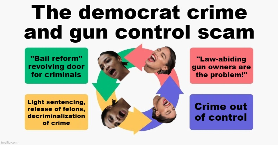 It's a scam! | The democrat crime and gun control scam; "Law-abiding
gun owners are
the problem!"; "Bail reform"
revolving door
for criminals; Light sentencing,
release of felons,
decriminalization
of crime; Crime out of control | image tagged in memes,democrats,crime,bail reform,gun control,scam | made w/ Imgflip meme maker