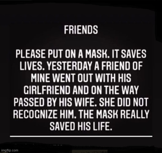 Masks Save Lives | image tagged in masks,masks save lives | made w/ Imgflip meme maker