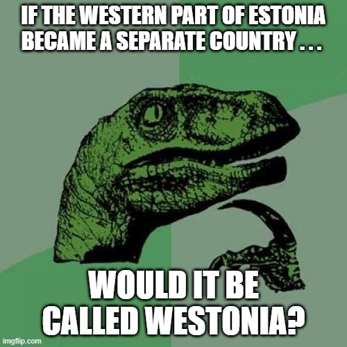 Philosoraptor Western Estonia | IF THE WESTERN PART OF ESTONIA BECAME A SEPARATE COUNTRY . . . WOULD IT BE CALLED WESTONIA? | image tagged in memes,philosoraptor,estonia | made w/ Imgflip meme maker