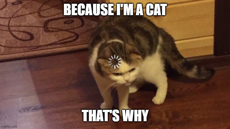 IDEK | BECAUSE I'M A CAT; THAT'S WHY | image tagged in buffering cat | made w/ Imgflip meme maker
