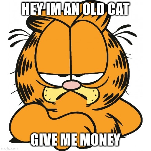 Garfield | HEY IM AN OLD CAT; GIVE ME MONEY | image tagged in garfield | made w/ Imgflip meme maker