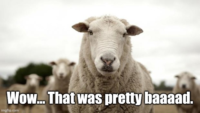 Sheep | Wow... That was pretty baaaad. | image tagged in sheep | made w/ Imgflip meme maker