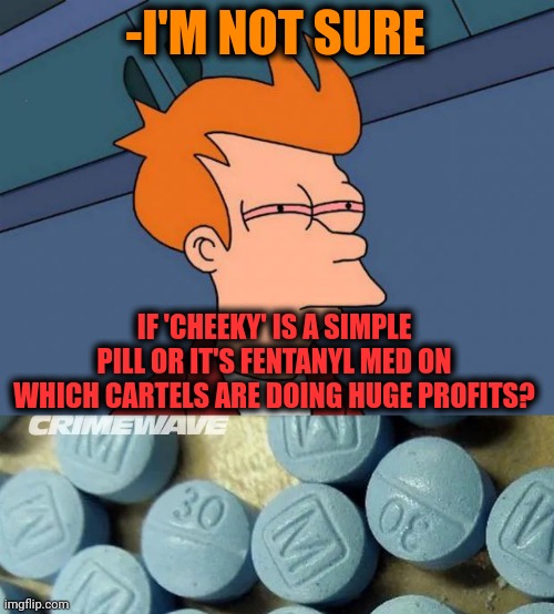 -I'M NOT SURE IF 'CHEEKY' IS A SIMPLE PILL OR IT'S FENTANYL MED ON WHICH CARTELS ARE DOING HUGE PROFITS? | image tagged in stoned fry | made w/ Imgflip meme maker