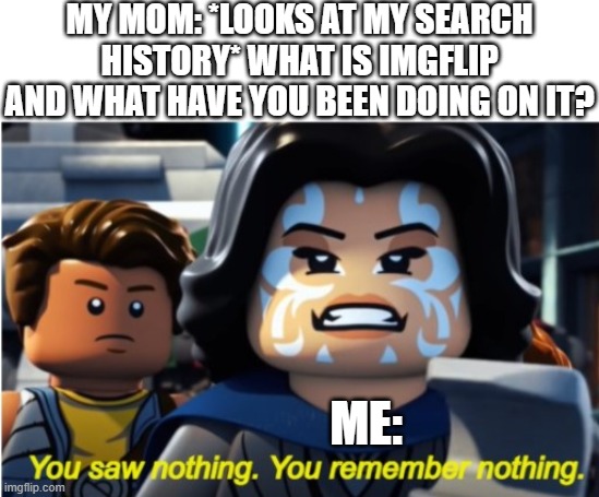 Naare Mind Trick | MY MOM: *LOOKS AT MY SEARCH HISTORY* WHAT IS IMGFLIP AND WHAT HAVE YOU BEEN DOING ON IT? ME: | image tagged in naare mind trick,search history,lego,star wars | made w/ Imgflip meme maker