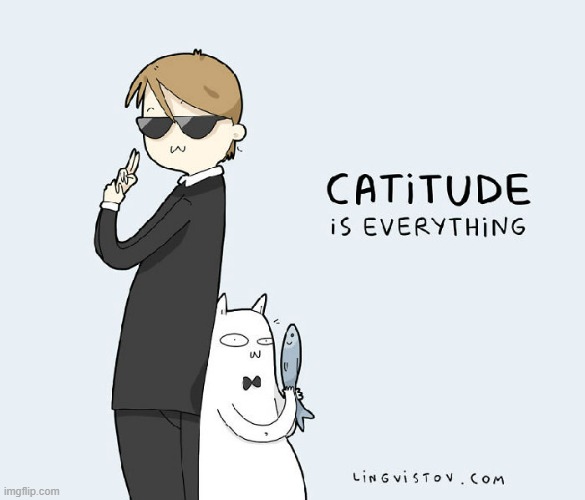 A Cat's Way Of Thinking | image tagged in memes,comics,cats,attitude,is,everything | made w/ Imgflip meme maker