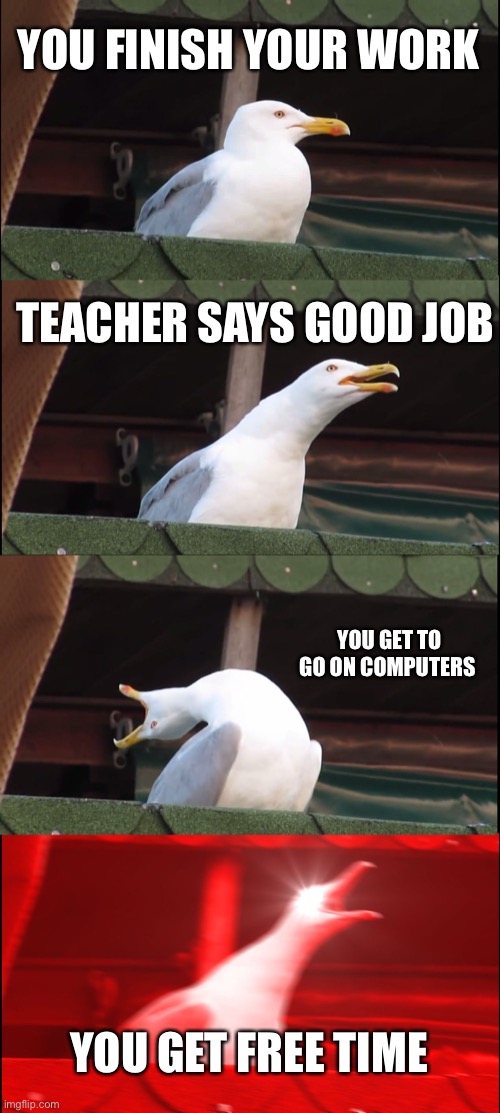 Free time time | YOU FINISH YOUR WORK; TEACHER SAYS GOOD JOB; YOU GET TO GO ON COMPUTERS; YOU GET FREE TIME | image tagged in inhaling seagull,school memes | made w/ Imgflip meme maker