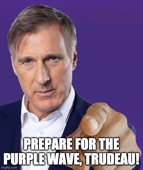 maxime bernier pointing | PREPARE FOR THE PURPLE WAVE, TRUDEAU! | image tagged in maxime bernier pointing | made w/ Imgflip meme maker