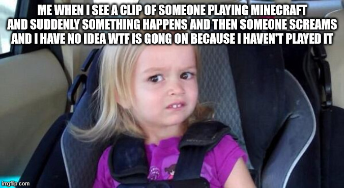 wtf girl | ME WHEN I SEE A CLIP OF SOMEONE PLAYING MINECRAFT AND SUDDENLY SOMETHING HAPPENS AND THEN SOMEONE SCREAMS AND I HAVE NO IDEA WTF IS GONG ON BECAUSE I HAVEN'T PLAYED IT | image tagged in wtf girl | made w/ Imgflip meme maker